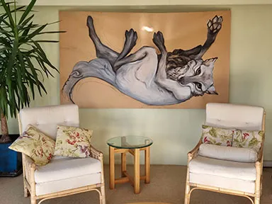 waiting room at Stillpoint Acupuncture and Craniosacral Therapy