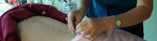 How does Acupuncture work?