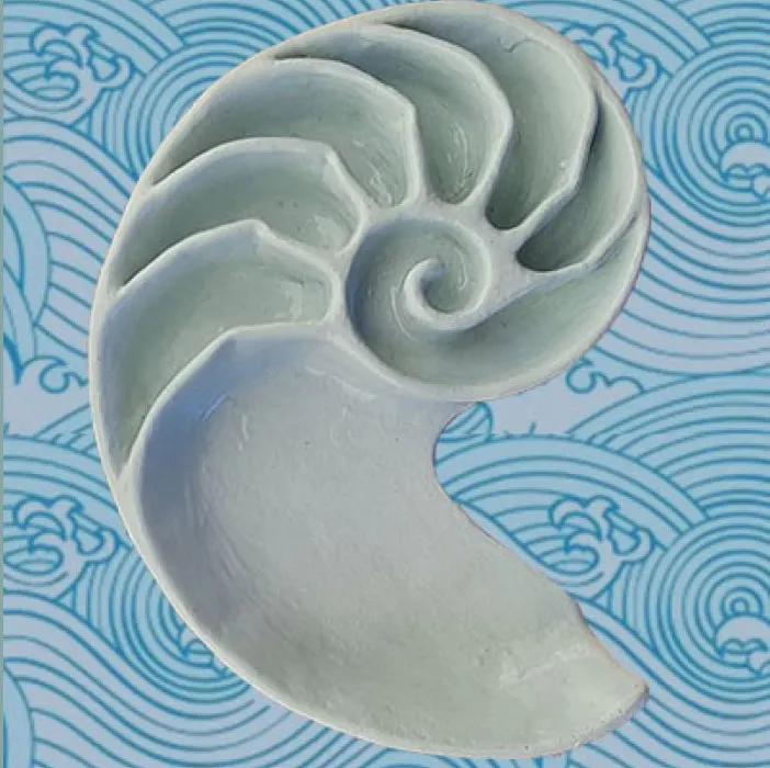 Biodynamic Craniosacral Therapy (BCST) treatments
